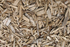 biomass boilers Cardeston