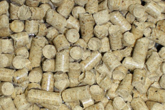 Cardeston biomass boiler costs